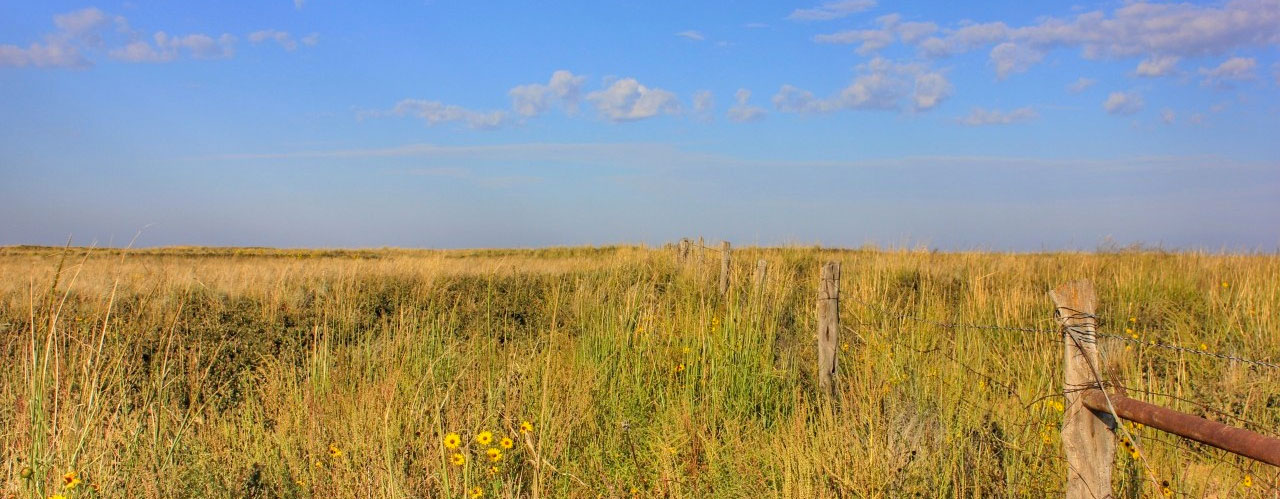 Tomahawk Conservation Bank